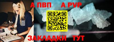 шишки Донской