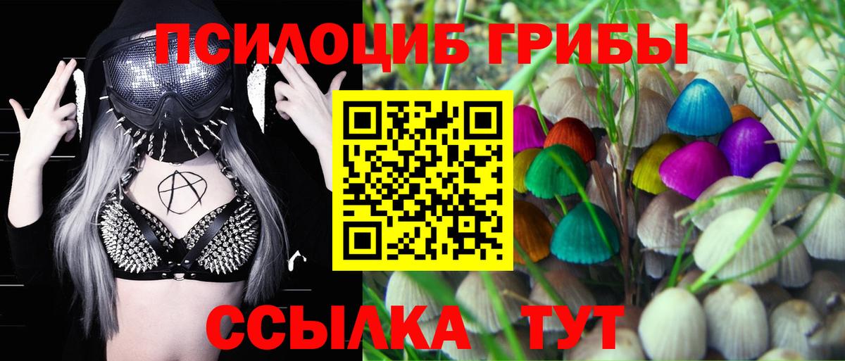 Галлюциногенные грибы MAGIC MUSHROOMS Камень-на-Оби