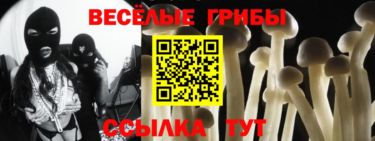 Псилоцибиновые грибы ЛСД  Галлюциногенные грибы GOLDEN TEACHER  Камень-на-Оби 