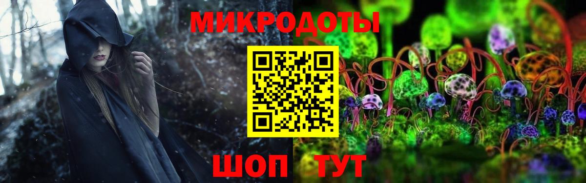 Экстази  Камень-на-Оби  Амфетамин   Мефедрон кристаллы  A PVP СОЛЬ кристаллы  MDMA  Каннабис  Вход с VPN  ГАШ  Кокаин 
